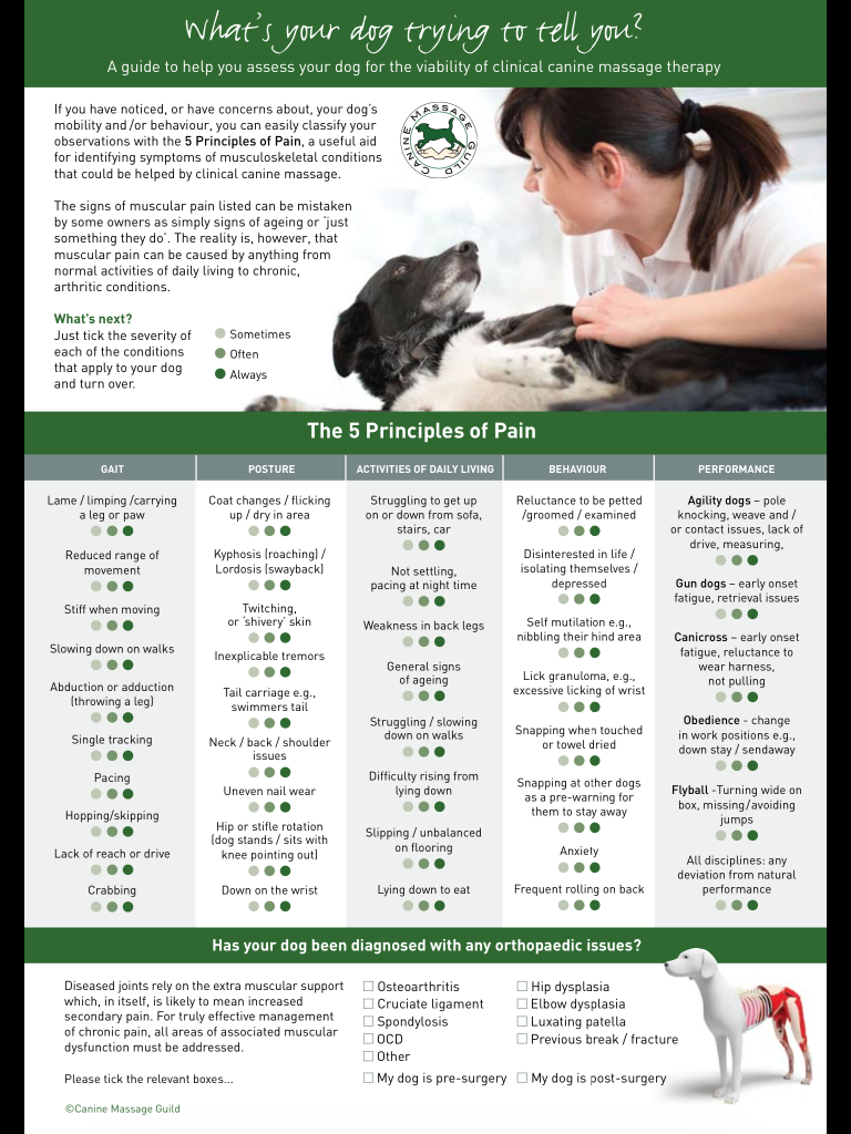 Poster describing the five principles of pain for dogs